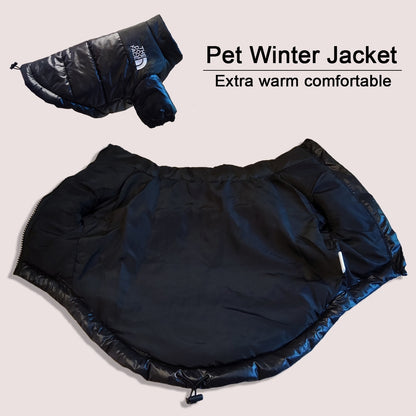 Windproof Jacket for Dogs