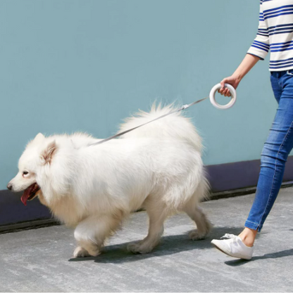 Xiaomi MOESTAR UFO 2.6m Retractable Pet Leash